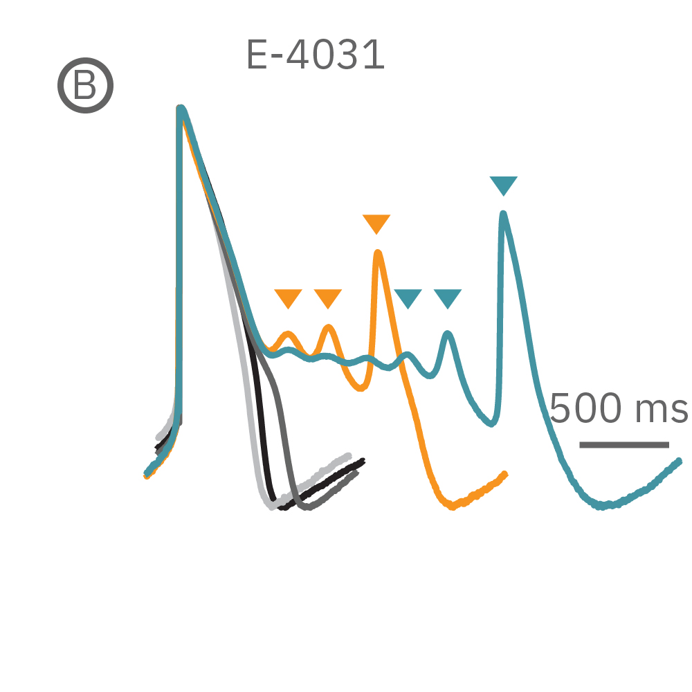 心毒性・安全性評価 | Axion Biosystems